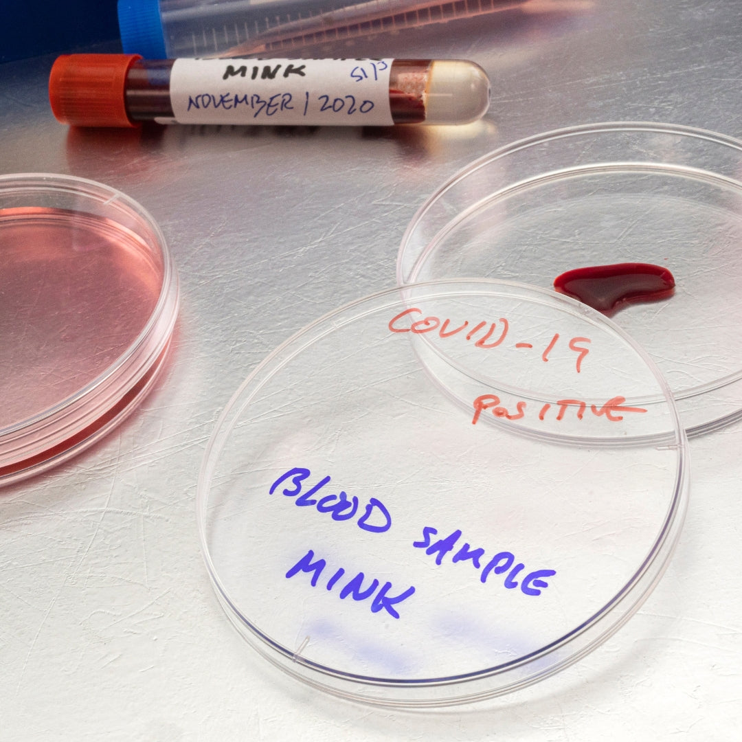 Placas Petri Plastico NO Estéril